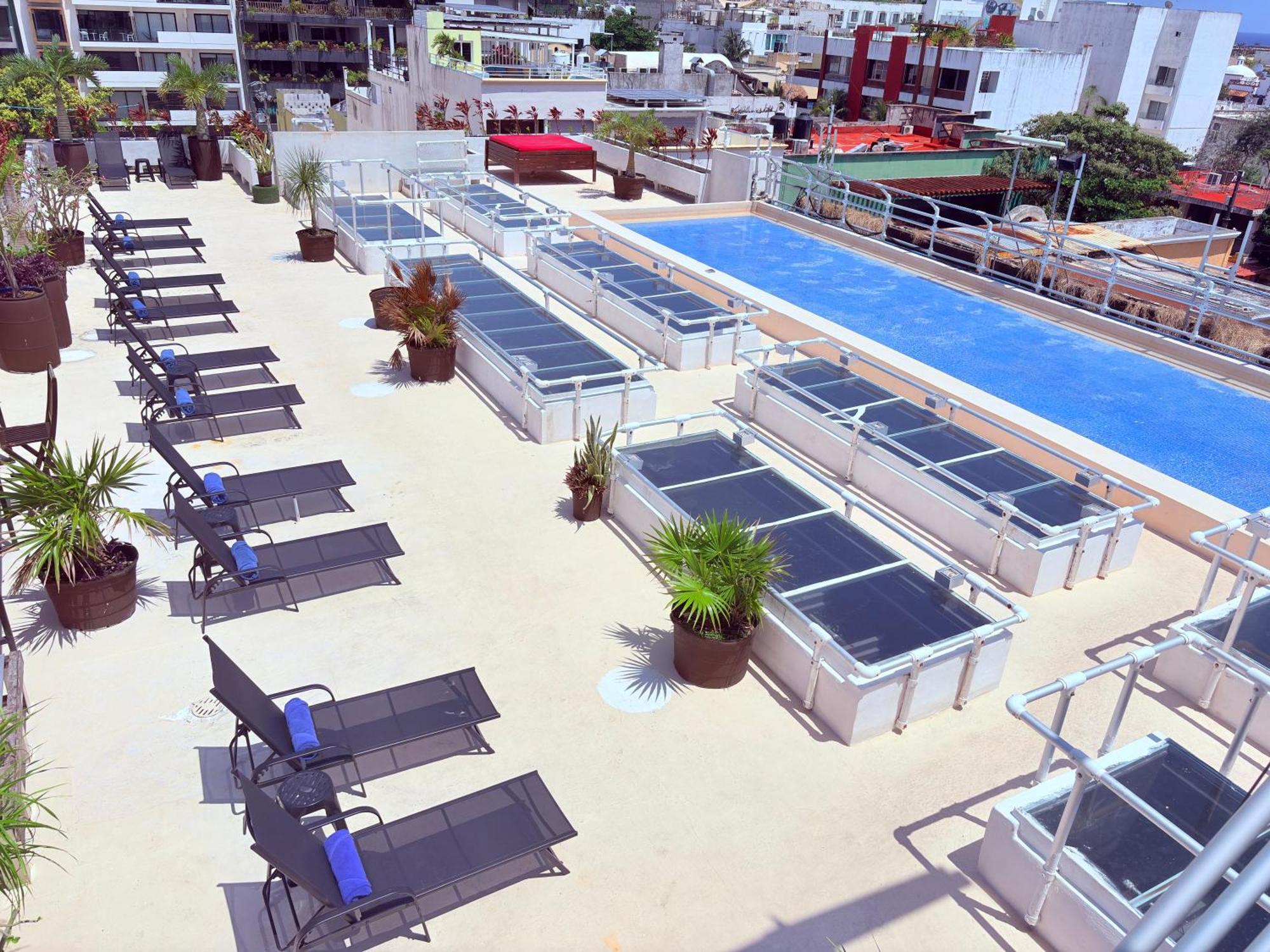Hotel Kavia 5Th Avenida (Adults Only) Playa del Carmen Exteriér fotografie
